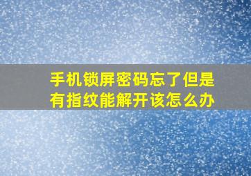 手机锁屏密码忘了但是有指纹能解开该怎么办