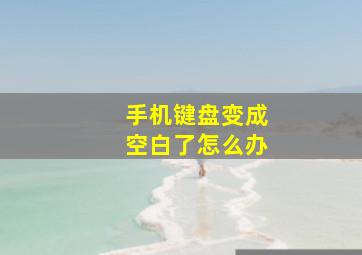 手机键盘变成空白了怎么办