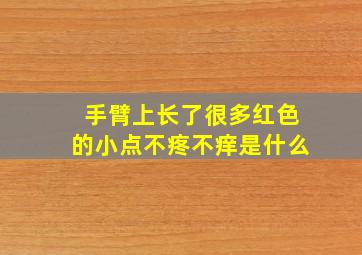 手臂上长了很多红色的小点不疼不痒是什么