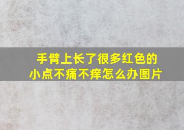 手臂上长了很多红色的小点不痛不痒怎么办图片