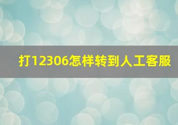 打12306怎样转到人工客服