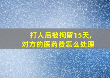 打人后被拘留15天,对方的医药费怎么处理