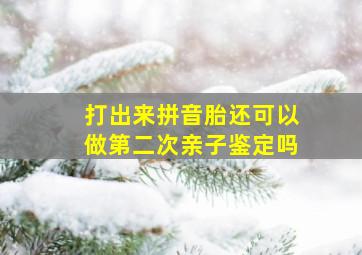 打出来拼音胎还可以做第二次亲子鉴定吗