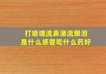 打喷嚏流鼻涕流眼泪是什么感冒吃什么药好