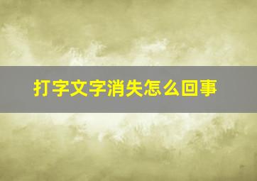 打字文字消失怎么回事