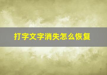 打字文字消失怎么恢复