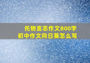 托物言志作文800字初中作文向日葵怎么写