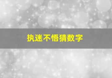 执迷不悟猜数字