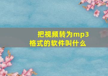 把视频转为mp3格式的软件叫什么