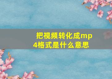 把视频转化成mp4格式是什么意思