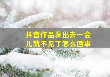 抖音作品发出去一会儿就不见了怎么回事