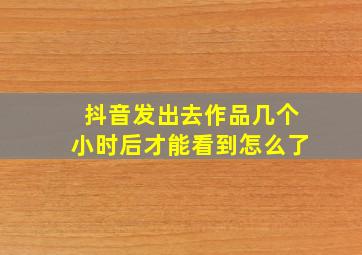 抖音发出去作品几个小时后才能看到怎么了