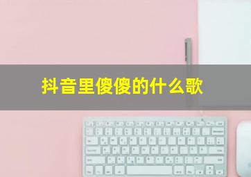 抖音里傻傻的什么歌