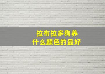 拉布拉多狗养什么颜色的最好