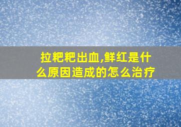 拉粑粑出血,鲜红是什么原因造成的怎么治疗