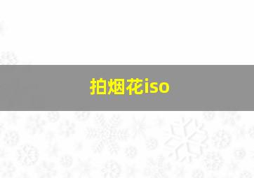 拍烟花iso