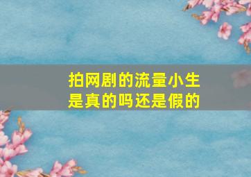 拍网剧的流量小生是真的吗还是假的