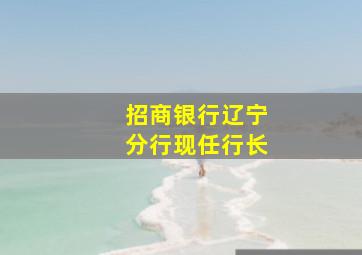 招商银行辽宁分行现任行长