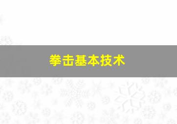 拳击基本技术