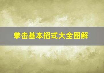 拳击基本招式大全图解