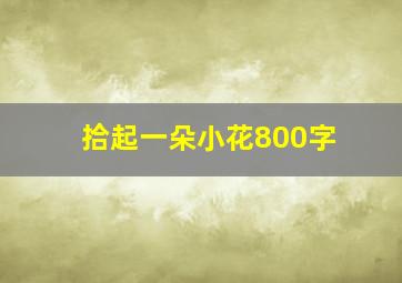 拾起一朵小花800字