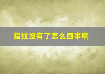 指纹没有了怎么回事啊