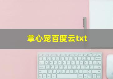 掌心宠百度云txt