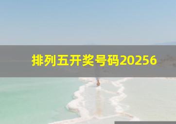 排列五开奖号码20256