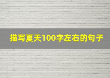 描写夏天100字左右的句子