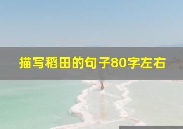 描写稻田的句子80字左右