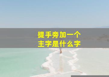 提手旁加一个主字是什么字