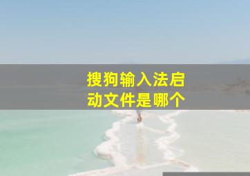 搜狗输入法启动文件是哪个