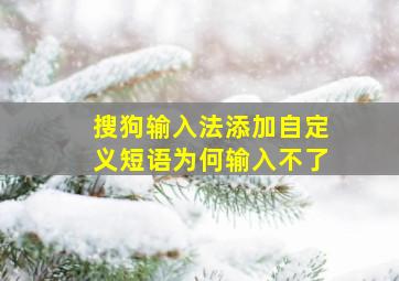 搜狗输入法添加自定义短语为何输入不了