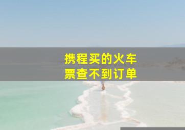 携程买的火车票查不到订单