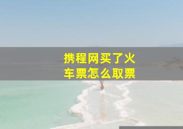 携程网买了火车票怎么取票