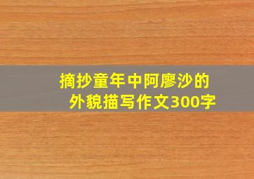 摘抄童年中阿廖沙的外貌描写作文300字