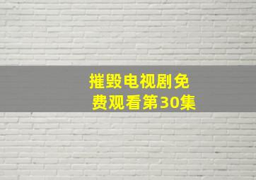 摧毁电视剧免费观看第30集