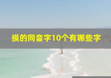 摸的同音字10个有哪些字