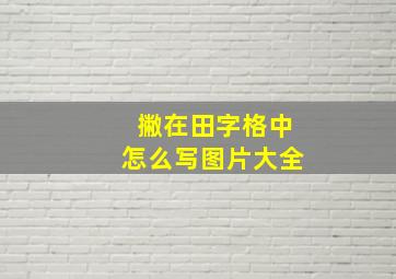 撇在田字格中怎么写图片大全