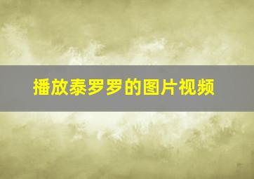 播放泰罗罗的图片视频