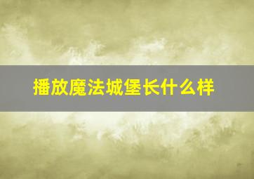 播放魔法城堡长什么样