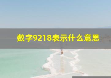 数字9218表示什么意思