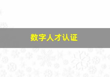 数字人才认证