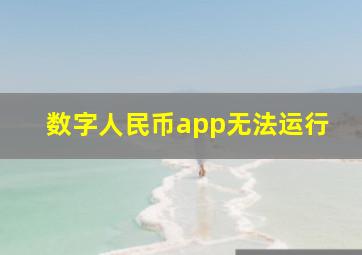 数字人民币app无法运行