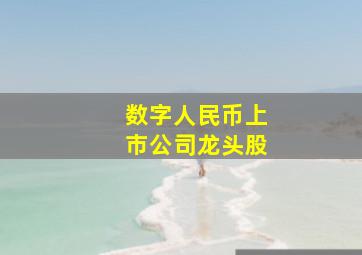 数字人民币上市公司龙头股