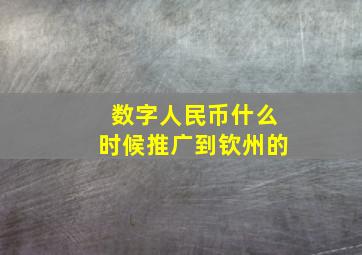 数字人民币什么时候推广到钦州的