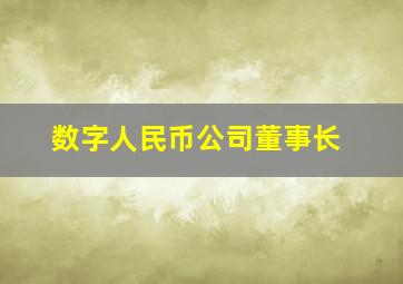 数字人民币公司董事长