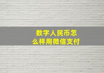 数字人民币怎么样用微信支付