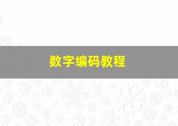 数字编码教程