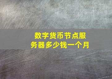 数字货币节点服务器多少钱一个月